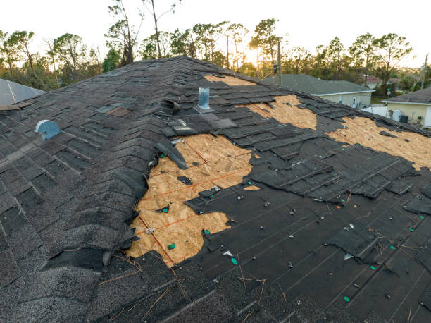 Best Wood Shake Roofing  in Big Pine, CA