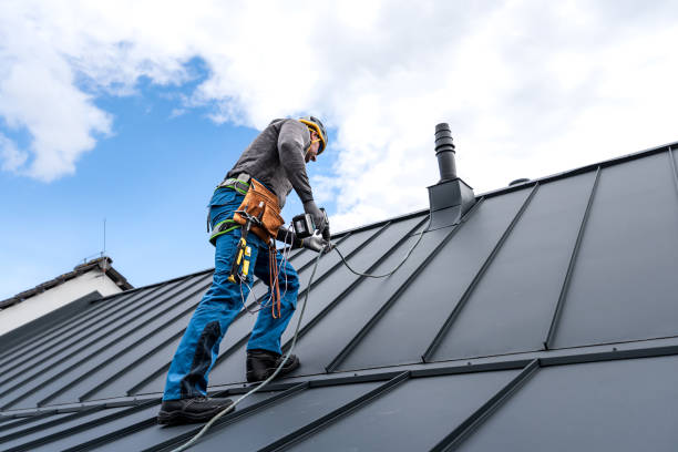 Best Roof Maintenance and Cleaning  in Big Pine, CA