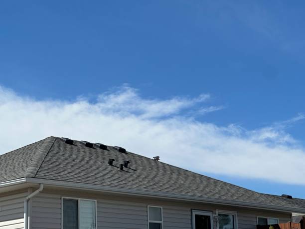 Best Sheet Metal Roofing  in Big Pine, CA